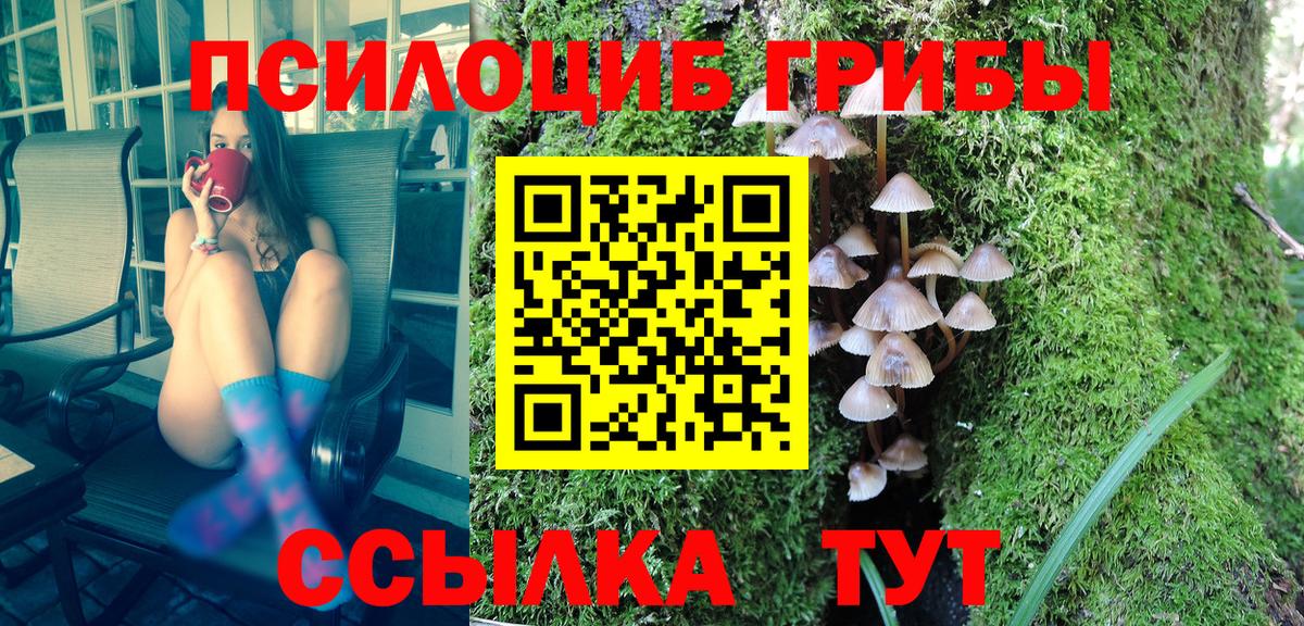 Саянск  Галлюциногенные грибы Psilocybe  Вход с VPN  Псилоцибиновые грибы GOLDEN TEACHER 