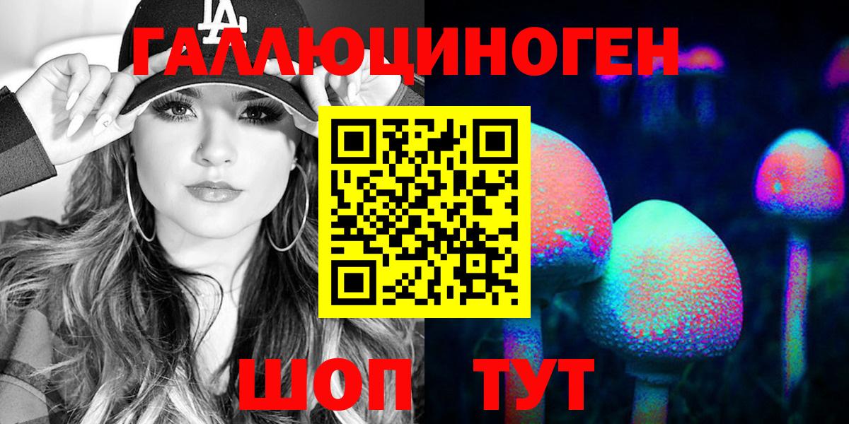 Галлюциногенные грибы Psilocybe Саянск